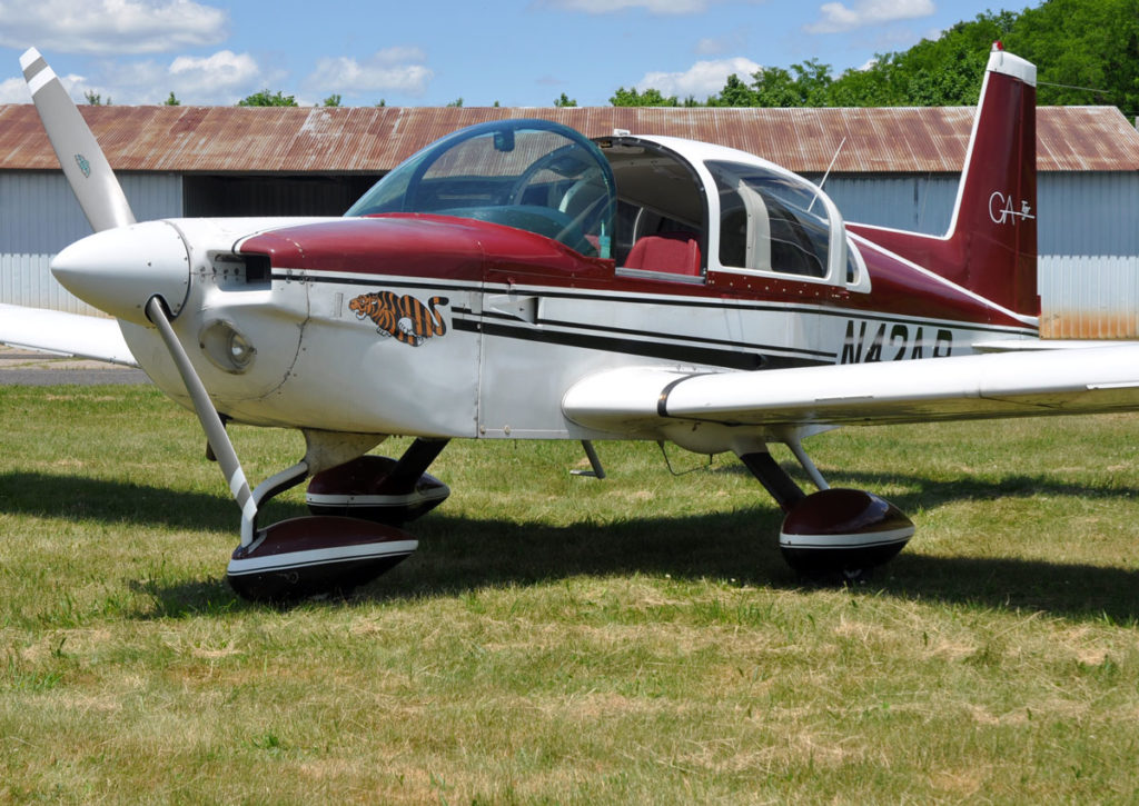 A Grumman aircraft stationed on a field in the summer. 