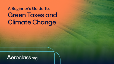 Green Taxes and Climate Change