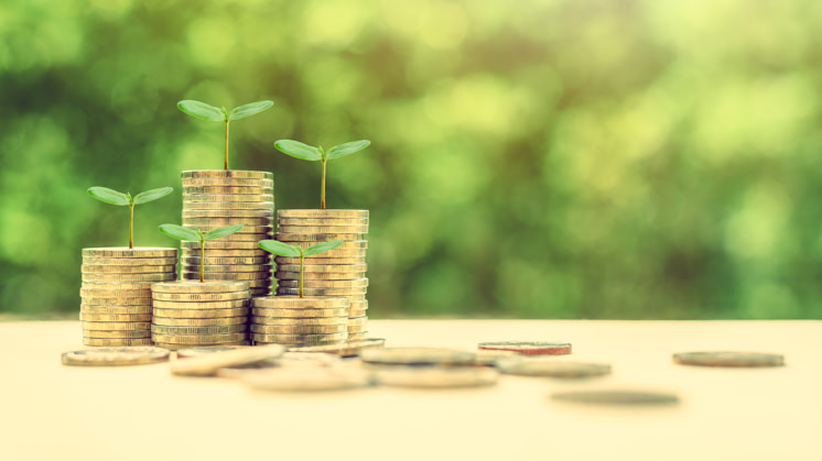 A visualisation of green taxes: coin stacks on the table sprouting small plants.