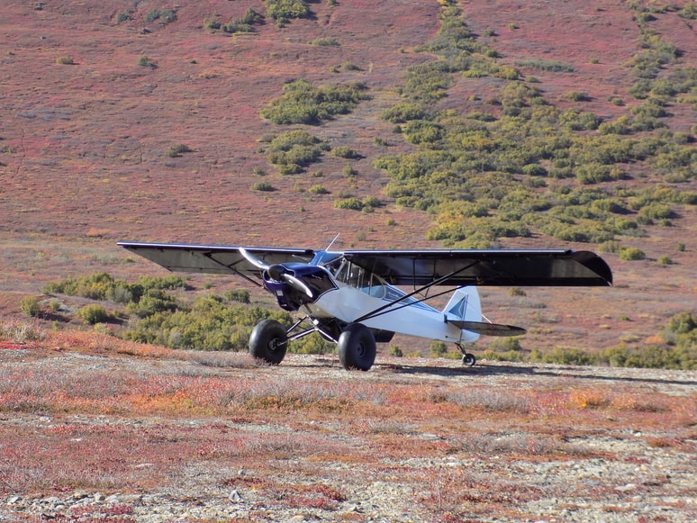 A small personal airplane parked in a field in the countryside.