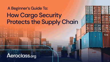 cargo security