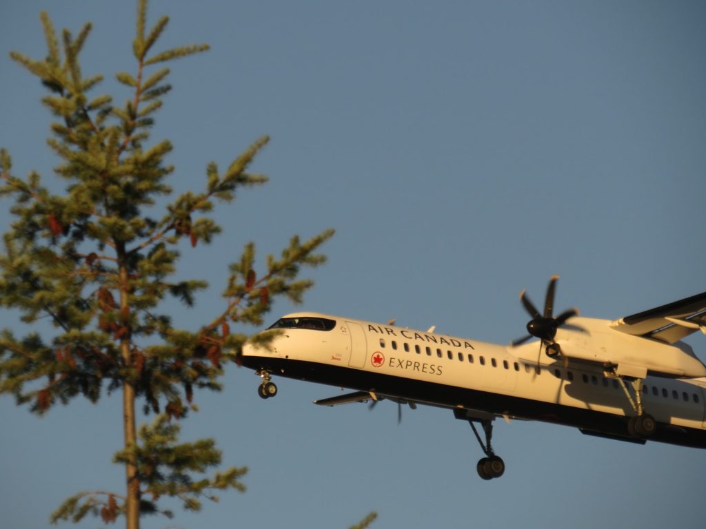 Air Canada aircraft flying over a tree on a clear day.