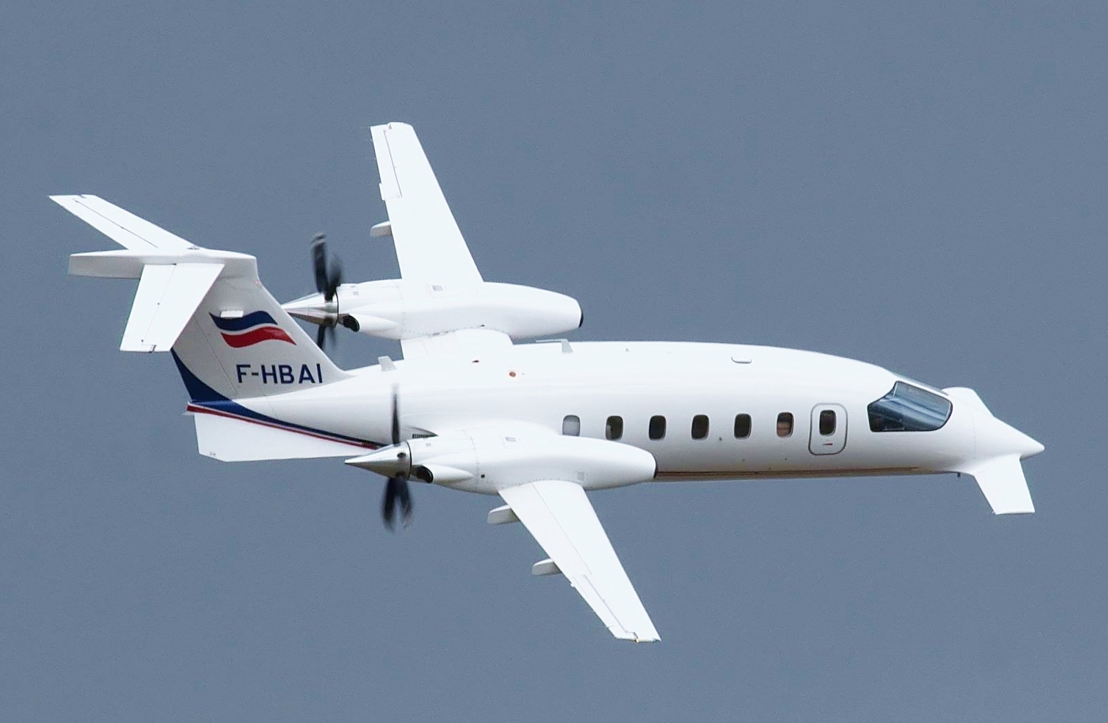 Plane with canards Piaggio P.180 Avanti