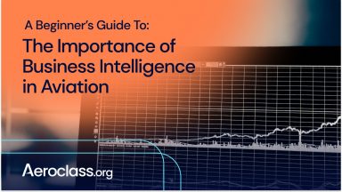 how would the airline industry use business intelligence?