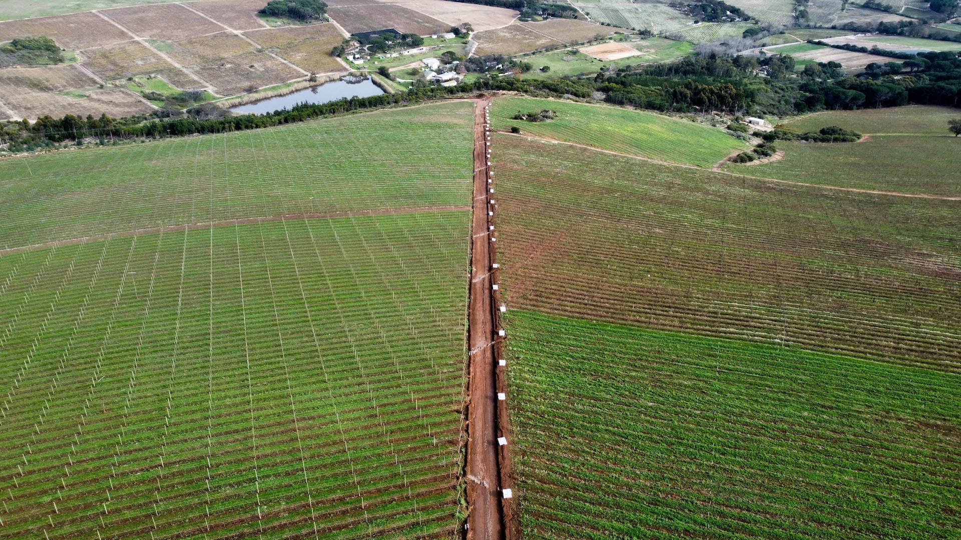 A farm in Africa.