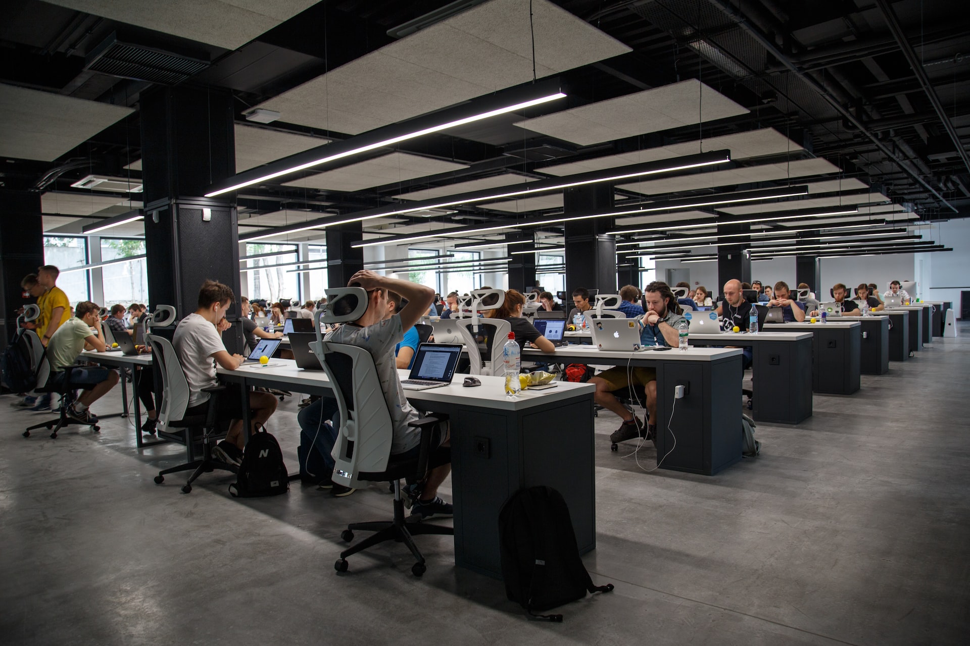 People working in a company office.