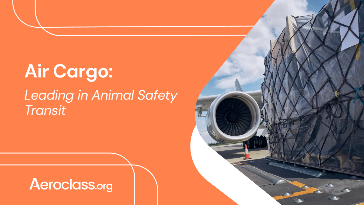 Air Cargo Leading in Animal Safety